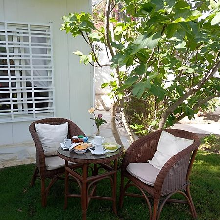 Au Bout Du Jardin Villa Karthago Eksteriør billede